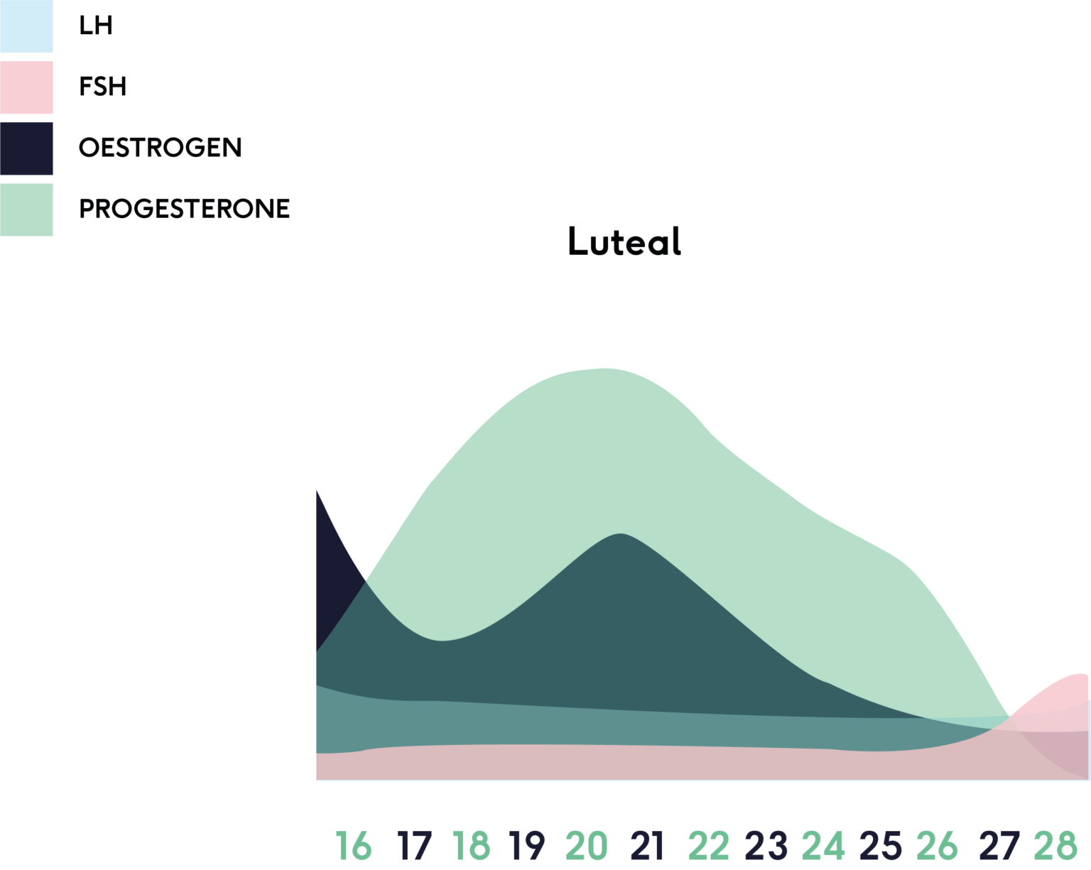Your Hormones & Menstrual Cycle Explained The Lowdown