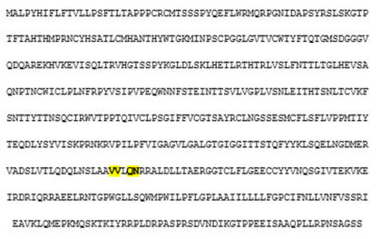 covid-19-vaccine-protein