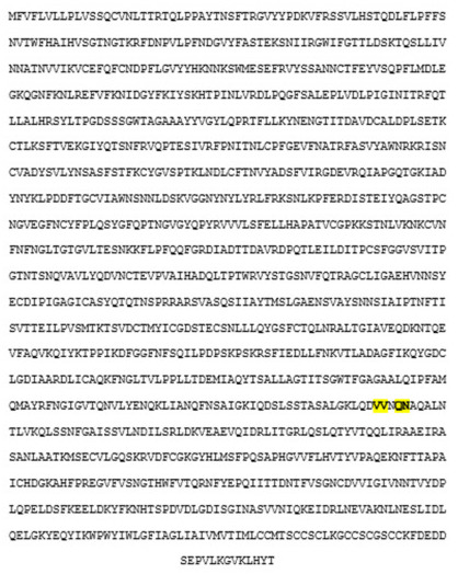 covid-19-spike-protein