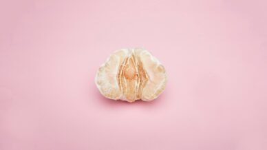 Vulva